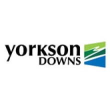 yorkson-downs-logo